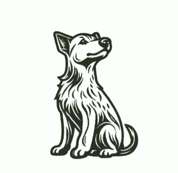 Ready for Adventures